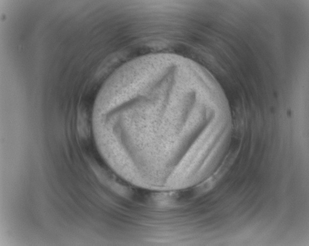 X0000079340136200612082034