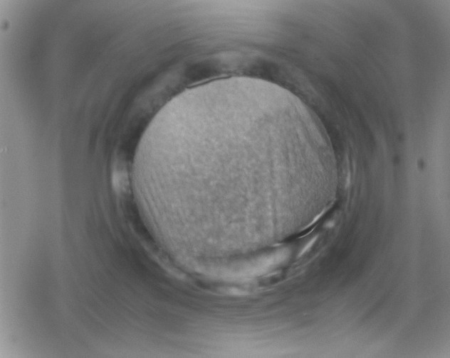 X0000079340137200612082034