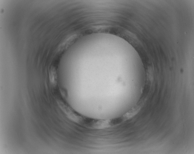 X0000079340138200612082034