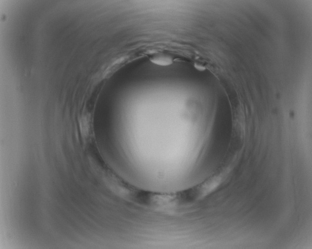 X0000079340139200612082034