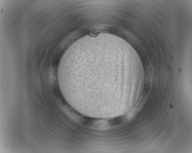 X0000079340140200612082034