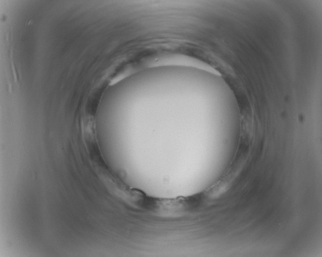 X0000079340141200612082034