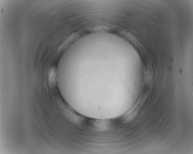 X0000079340142200612082033