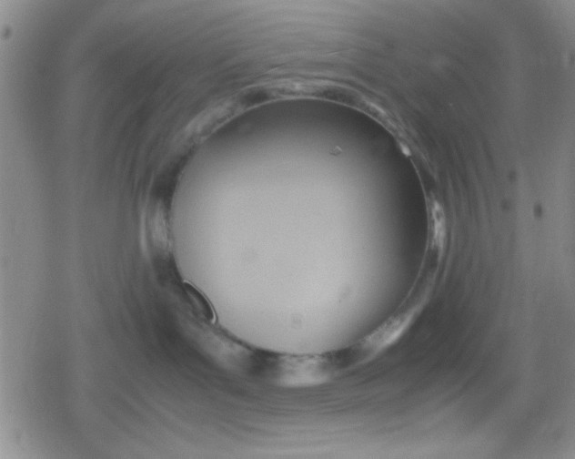 X0000079340143200612082033