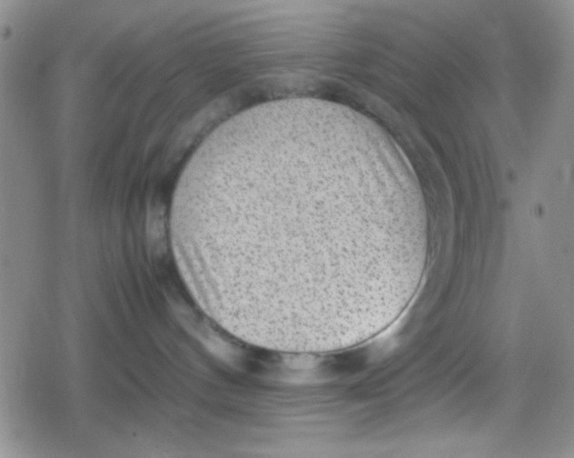 X0000079340144200612082033