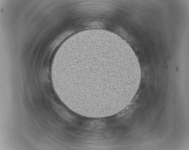 X0000079340146200612082033