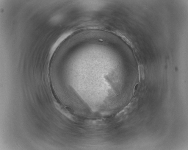 X0000079340147200612082033