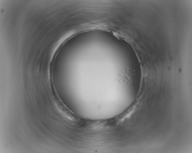 X0000079340148200612082033