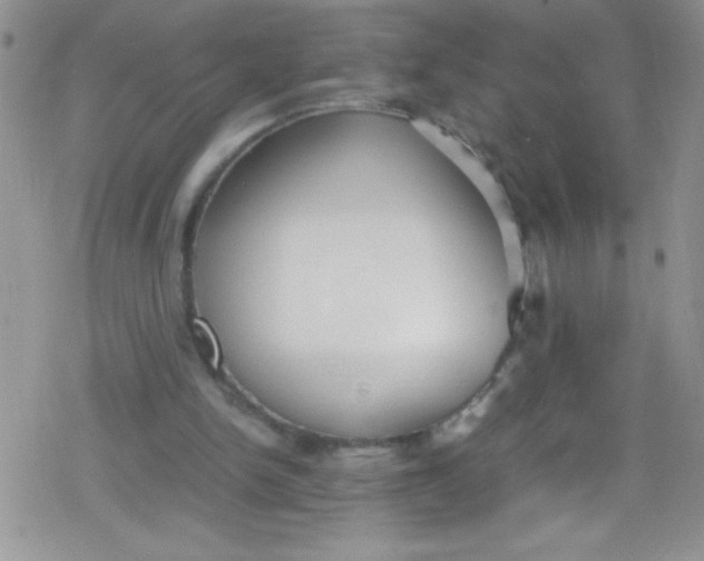 X0000079340150200612082033