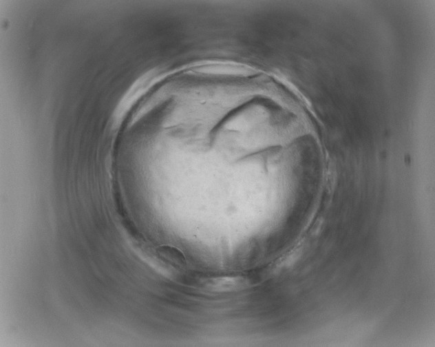 X0000079340151200612082033