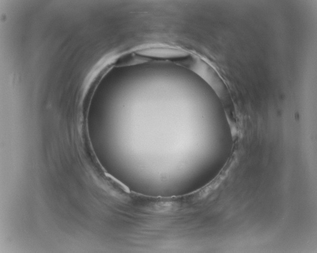 X0000079340152200612082033