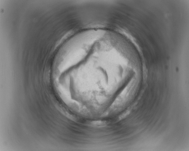 X0000079340153200612082033