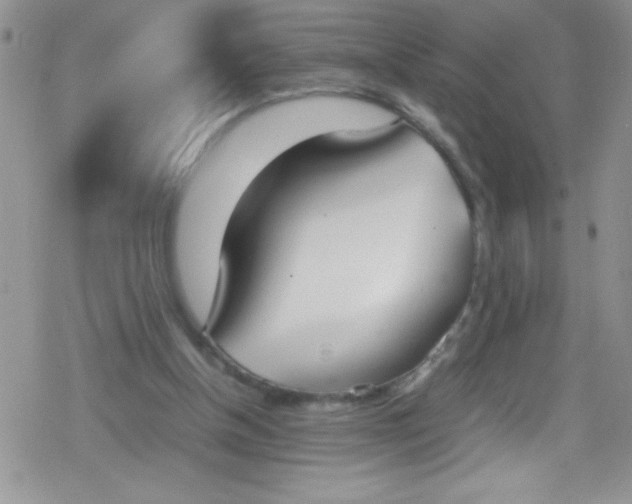 X0000079340154200612082033