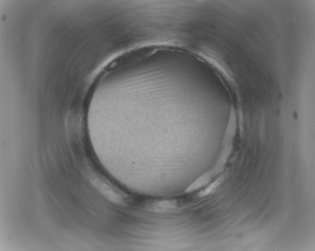 X0000079340156200612082033