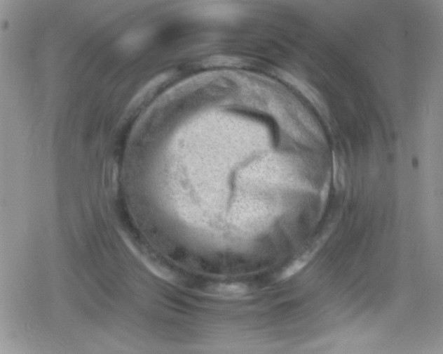 X0000079340157200612082033