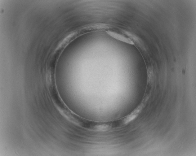 X0000079340158200612082033