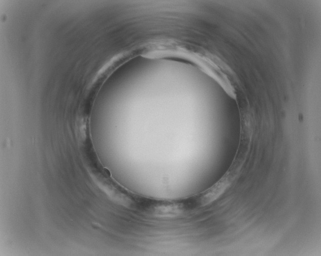 X0000079340160200612082033