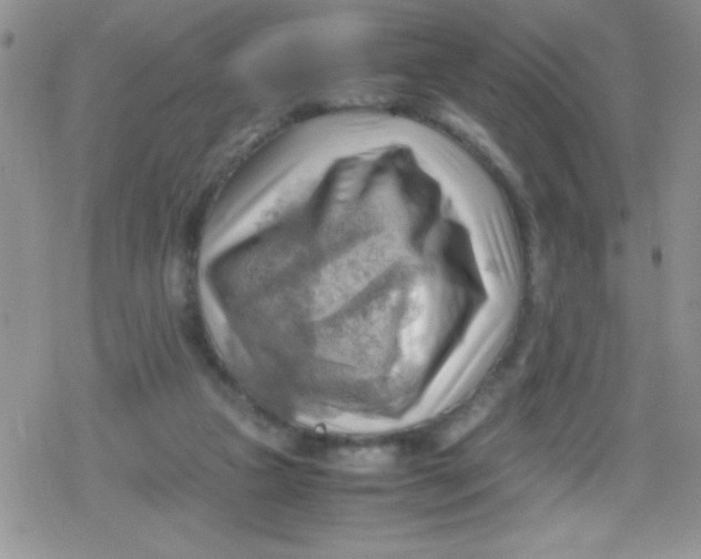 X0000079340161200612082033