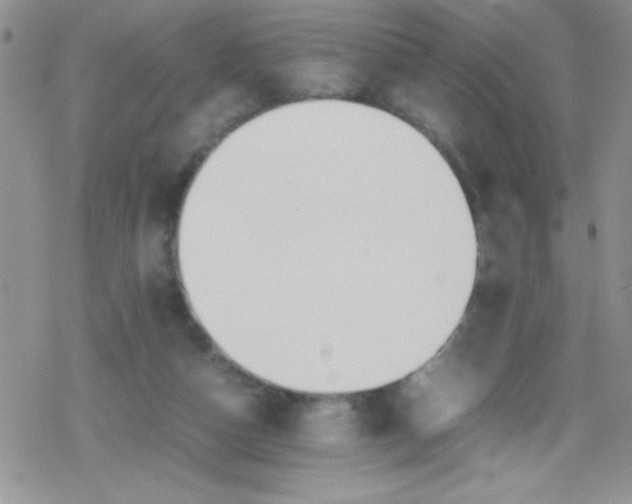 X0000079340162200612082033