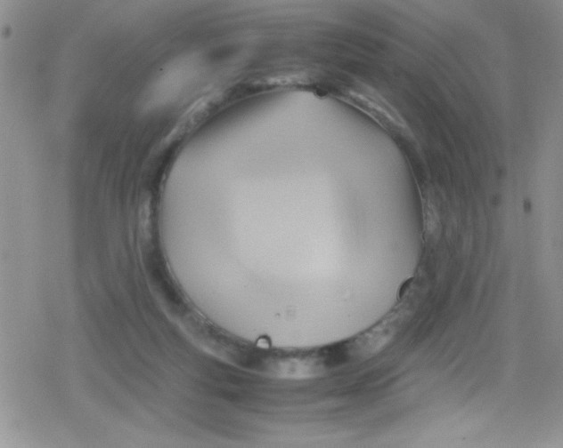 X0000079340163200612082033