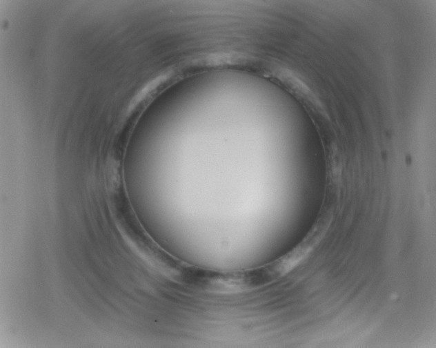 X0000079340164200612082033