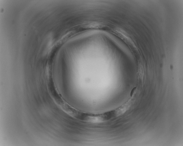 X0000079340167200612082033