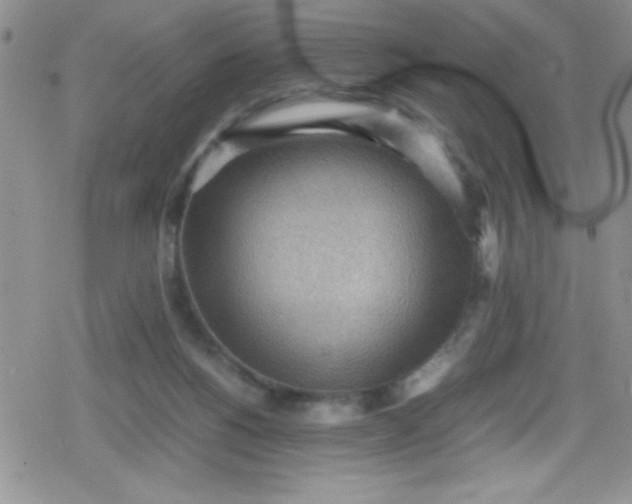 X0000079340168200612082033