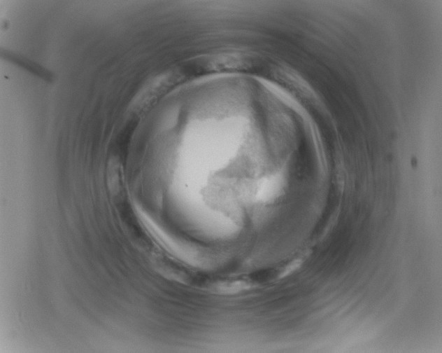 X0000079340169200612082033