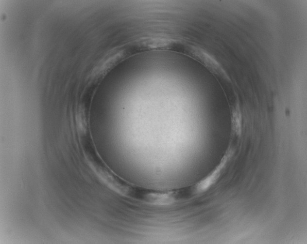 X0000079340170200612082033