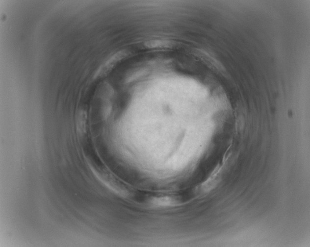 X0000079340171200612082033