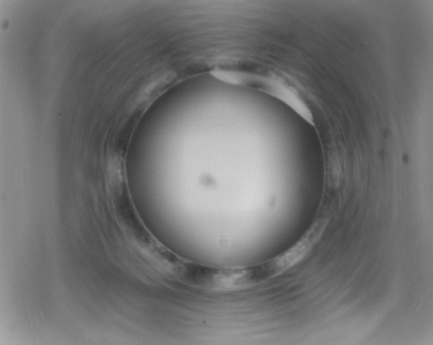 X0000079340172200612082033