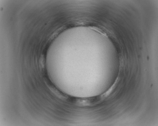 X0000079340174200612082033