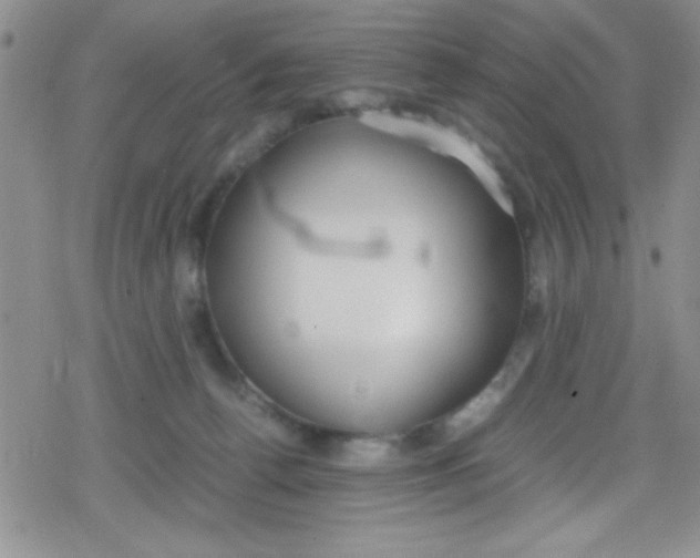 X0000079340176200612082033