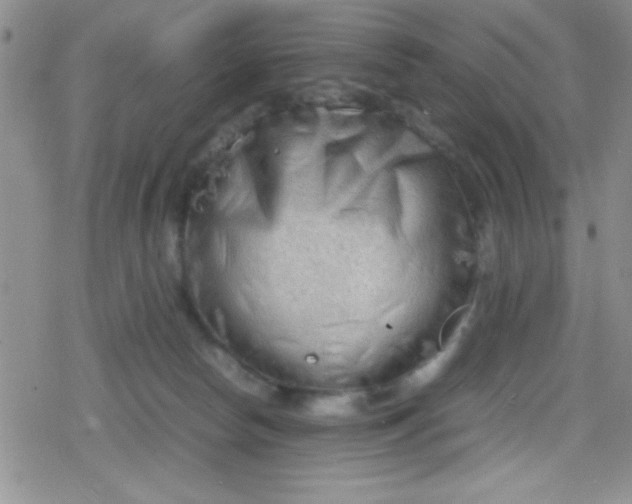 X0000079340178200612082033