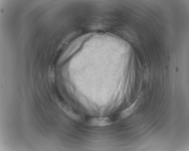 X0000079340179200612082033