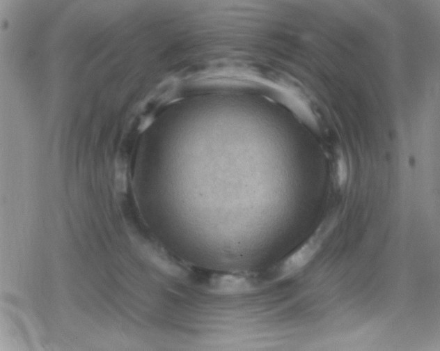 X0000079340180200612082033