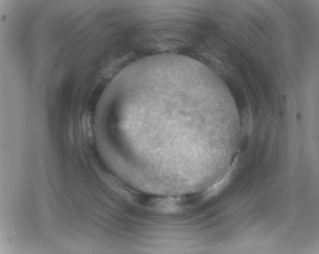 X0000079340182200612082033