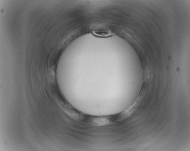 X0000079340183200612082033