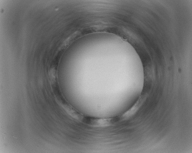 X0000079340184200612082033