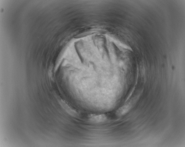 X0000079340185200612082033