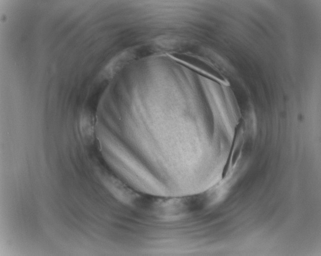 X0000079340186200612082033