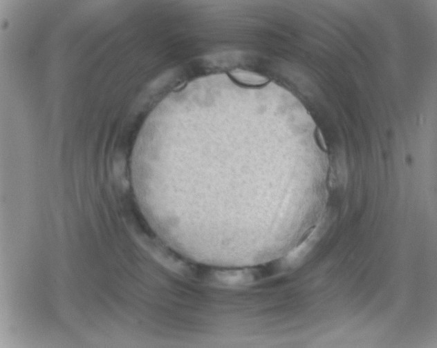 X0000079340187200612082033