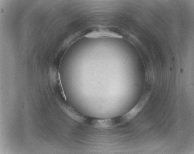 X0000079340188200612082033