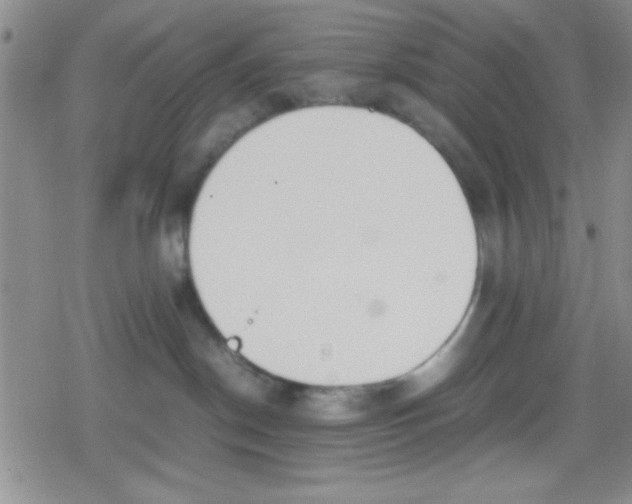 X0000079340190200612082033