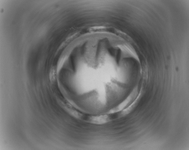 X0000079340191200612082033