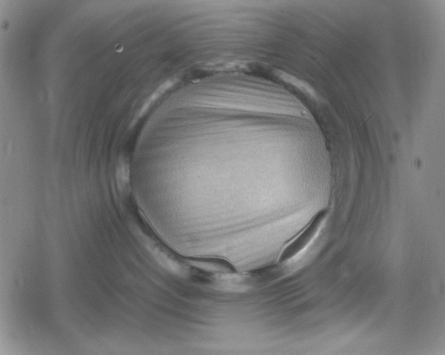 X0000079340192200612082033