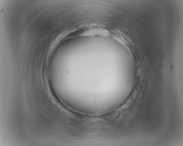 X0000079340193200612082033