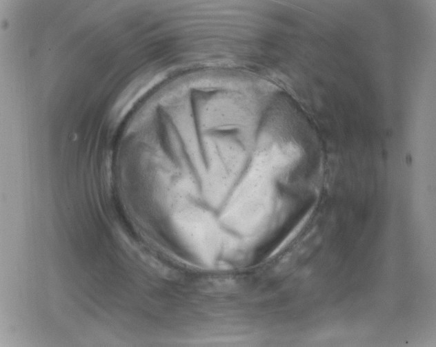 X0000079340194200612082033