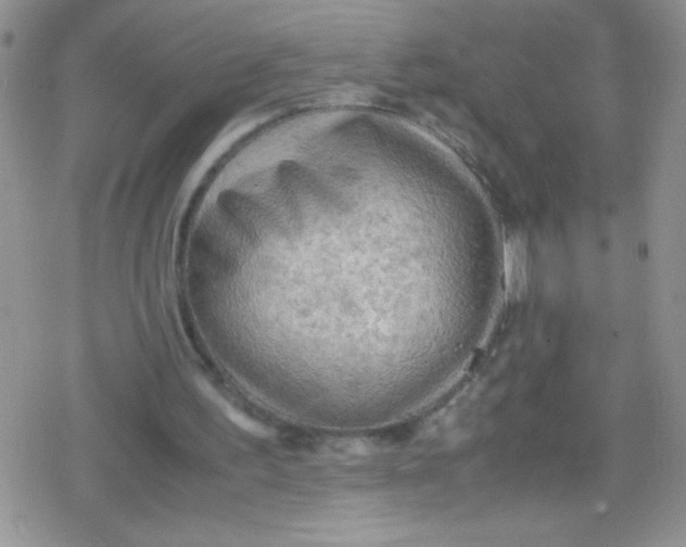 X0000079340195200612082033