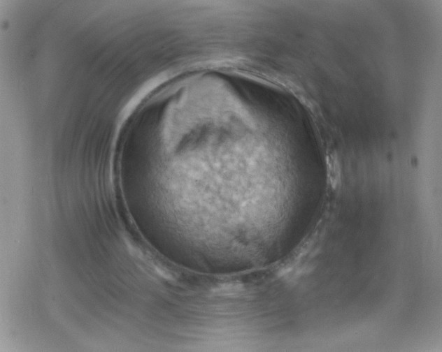 X0000079340196200612082033